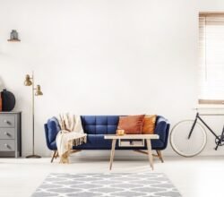blue couch